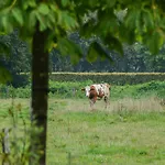Uilenhof *