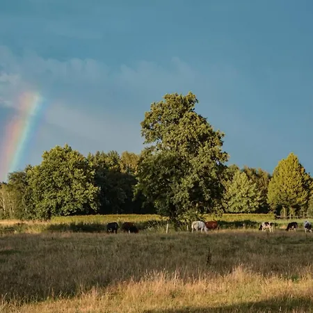 Uilenhof בית נופש