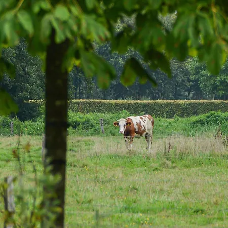 Uilenhof בית נופש אפ