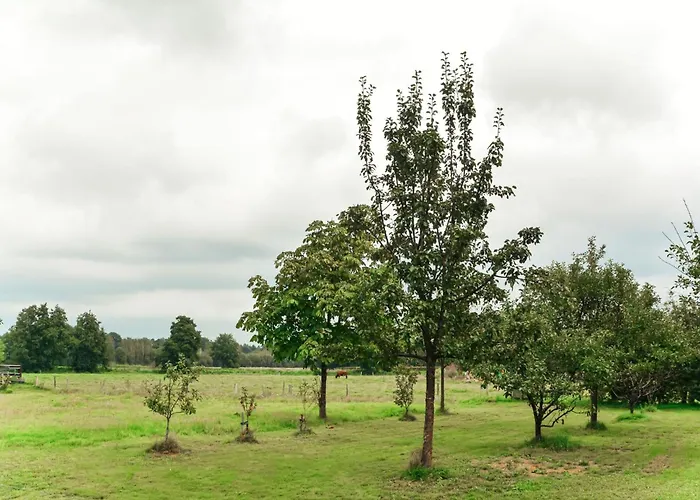 Semesterbostad Uilenhof *
