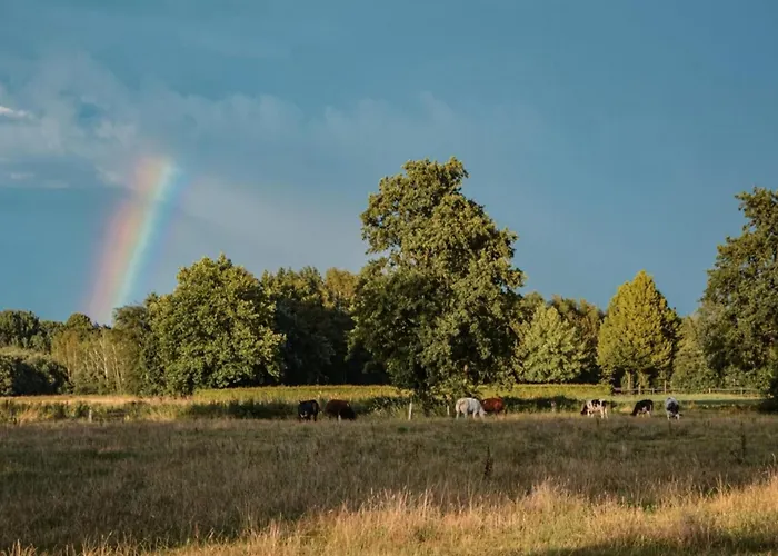 Uilenhof Semesterbostad Epe